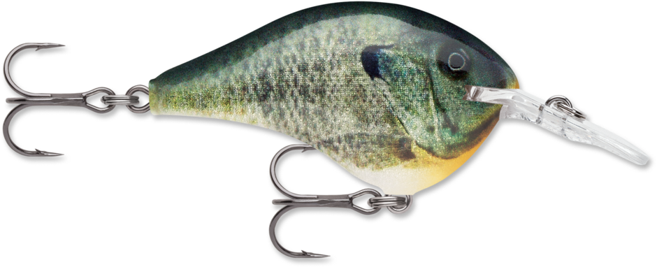 DT08-BGL   Rapala Dt08 Crankbait Live Bluegill