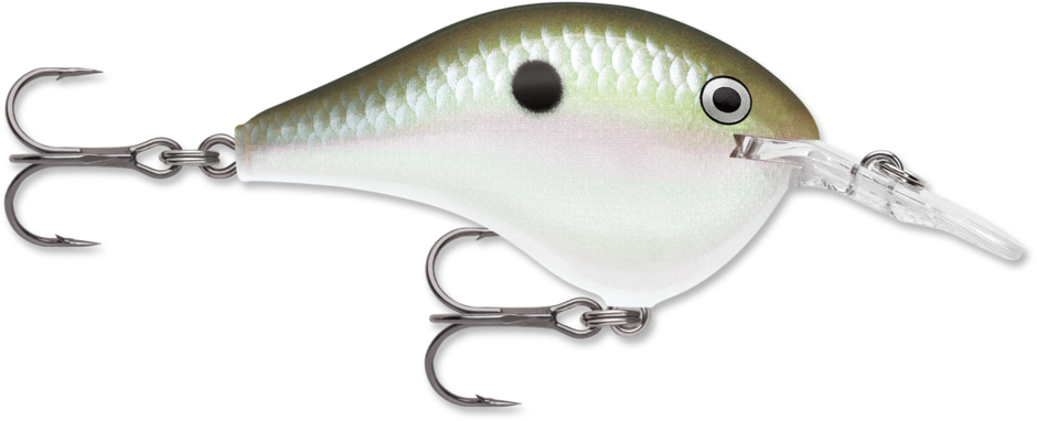 DT08-GGSD   Rapala DT08 Crankbait Green Gizzard Shad