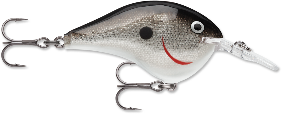 DT08-S   Rapala DT08 Crankbait Silver