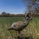 AVX-AVX8008   Avian LCD Breeder Hen Turkey Decoy