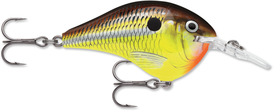 DT06-HM   Rapala DT Series Crankbait Hot Mustard