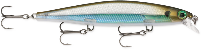 SDR11-MBS   Rapala Shadow Rap 11 Moss Back Shiner