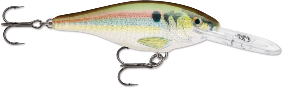SR07-RSL   Rapala Shad Rap 07 Live River Shad