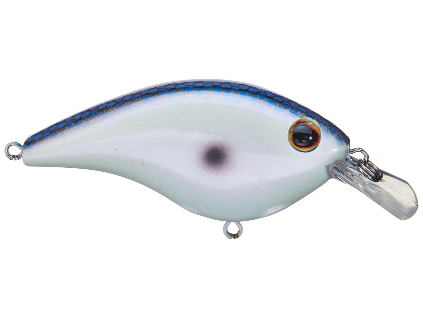BHBFS5-KBL Berkley Fritside 5 Crankbait 1/3oz Kentucky Blue