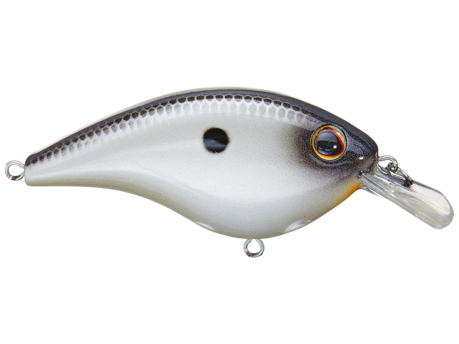 BHBFS5-MNPR Berkley Fritside 5 Crankbait 1/3oz Midnight Pearl