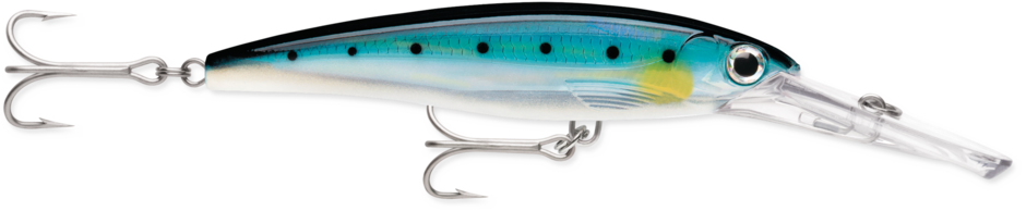 XRMAG40-BRSD   Rapala X-Rap 40 Magnum Blue Sardine