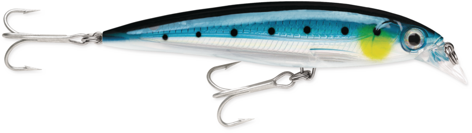 XRMAG20-BSRD   Rapala X-Rap Magnum 20 Blue Sardine