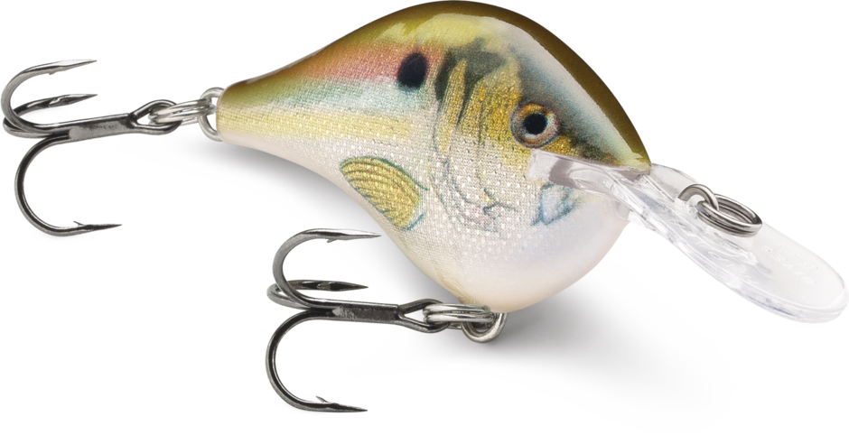DT08-RSL   Rapala DT08 Crankbait River Shad