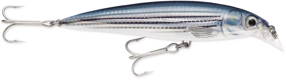 SXR10-MU   Rapala X-Rap Salt Mullet