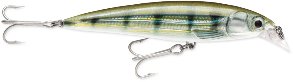 SXR10-PF   Rapala X-Rap Salt Pinfish