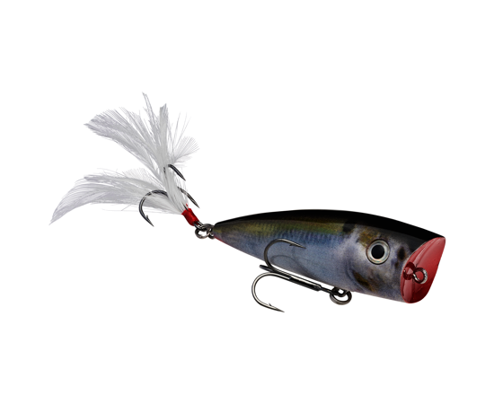 HCKVDSPL-699   Strike King KVD Splash Natural Shad